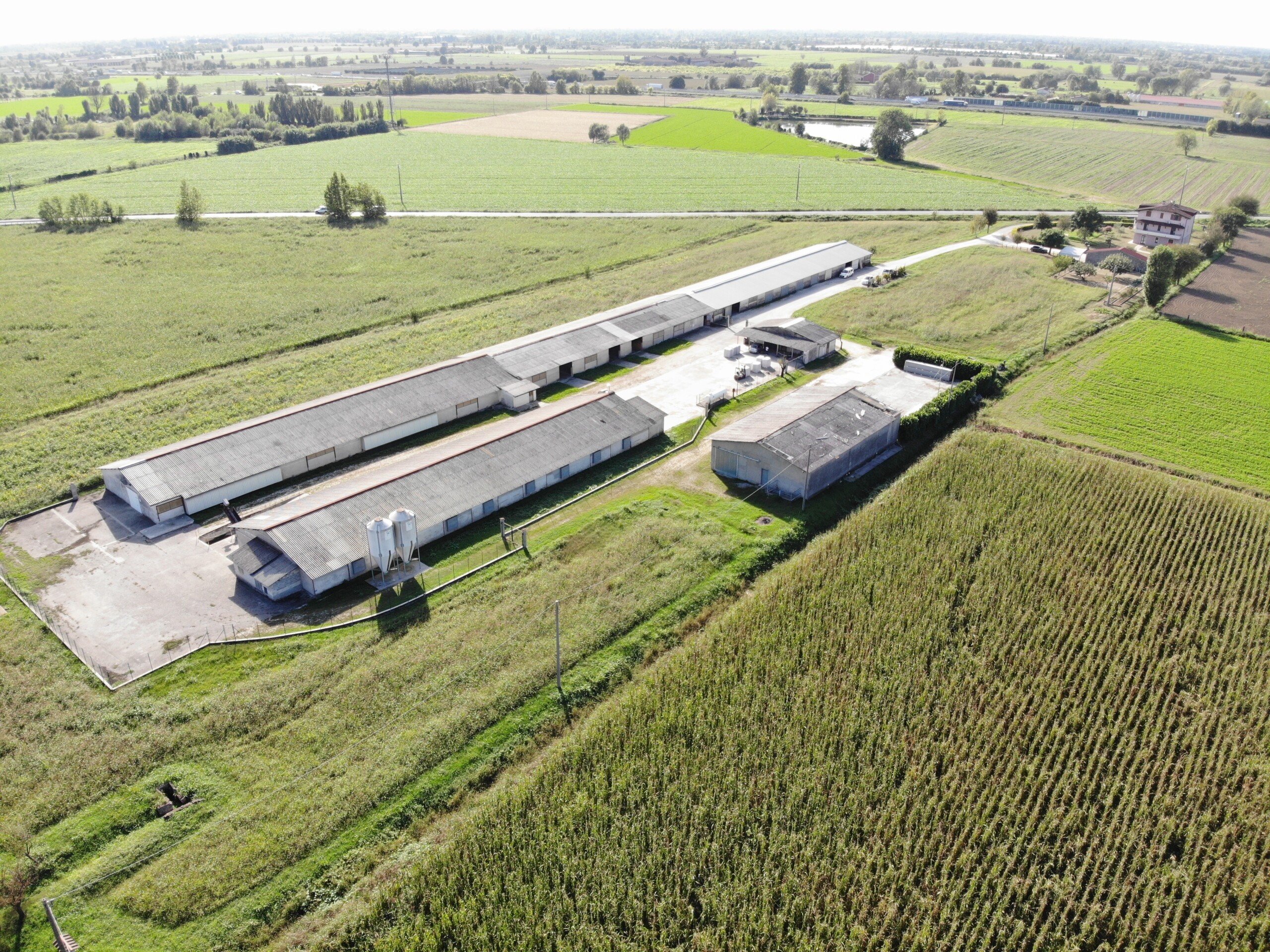Agricolo Seminativo a Brescia - 3707-3